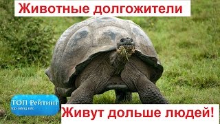 Животные долгожители