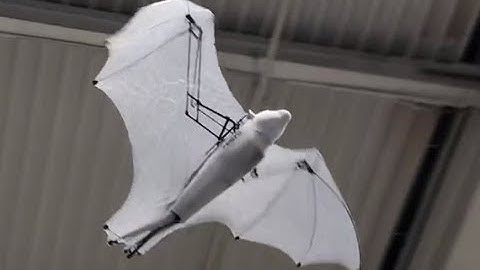 Hannover Messe 2018 - Bionic Flying Fox