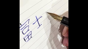 Kanwrite Mozart X Koga San Tribute. 14k Gold Music Nib Fountain Pen. India X Japan