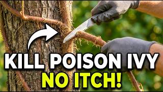 How I Removed 20 Years Of Poison Ivy From My Trees For FREE (No Itch)