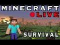 Mining and Farming | MINECRAFT | LIVE | Ep.2