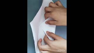 DIY #shorts #craft #diy #plane