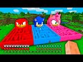 I found BIGGEST MAZE MONSTER OF SONIC KNUCKLES AMY ROSE in Minecraft