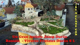 Pequeño Homenaje A Un Gran Artista Josep Durán Bonsáis Viveros Frutales Duran S L Huerto Urbano Luis