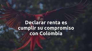 Declarar renta es cumplir su compromiso con Colombia.