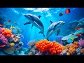 Relaxing Music to Relieve Stress, Anxiety &amp; Depression 🐬 Mind, Body &amp; Soul Healing