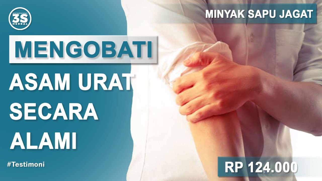 CARA MENGOBATI ASAM URAT DENGAN PEMAKAIAN MINYAK SAPU JAGAT - TESTIMONI