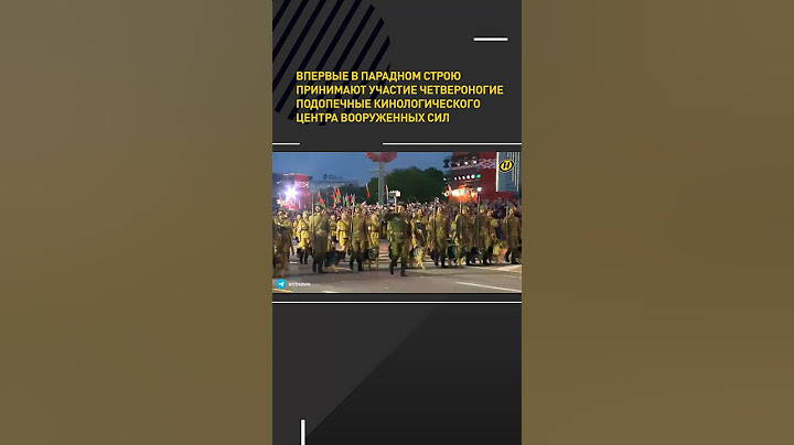 Служебные собаки впервые на Параде Победы в Минске #shortvideo #беларусь #деньпобеды #парад