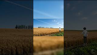 @BGMMellowJapan #作業用bgm #勉強用bgm #lofi #作業用bgm #勉強用bgm #relaxingmusic #sunoai #bgm #gemini #japan