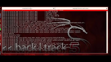 Cuckoo Sandbox in Backtrack Linux
