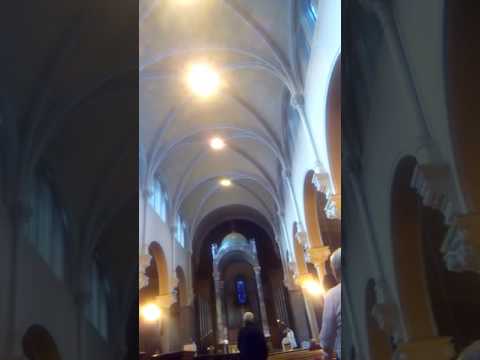 Video: Our Lady of Mount Carmel - die Whitefriar Street Carmelite Church