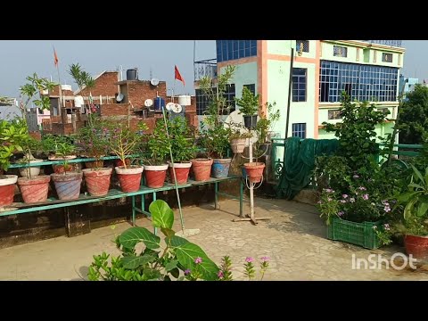 वीडियो: द गार्डन क्लीन अप: सर्दियों के लिए गार्डन को साफ करने के टिप्स