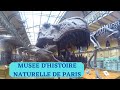 Le musee national dhistoire naturelle de paris