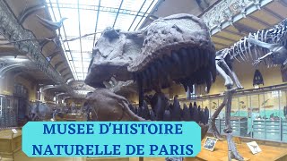 Le Musee National Dhistoire Naturelle De Paris