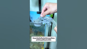 Review dụng cụ thay nước bể cá siêu tốc. #cacanh77 #hồcá #aquarium