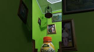 Download Lagu masteran cungko mini( kinoi gacor) kinoi tembakan rapet isian greja tarung!!! MP3 Download Lagu masteran cungko mini( kinoi gacor) kinoi tembakan rapet isian greja tarung!!! MP3
