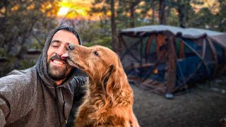 Dog Adopts Hiker on a Camping Trip  Heartwarming Video