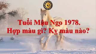 Tuổi Mậu Ngọ 1978. Hợp màu gì? Kỵ màu nào?