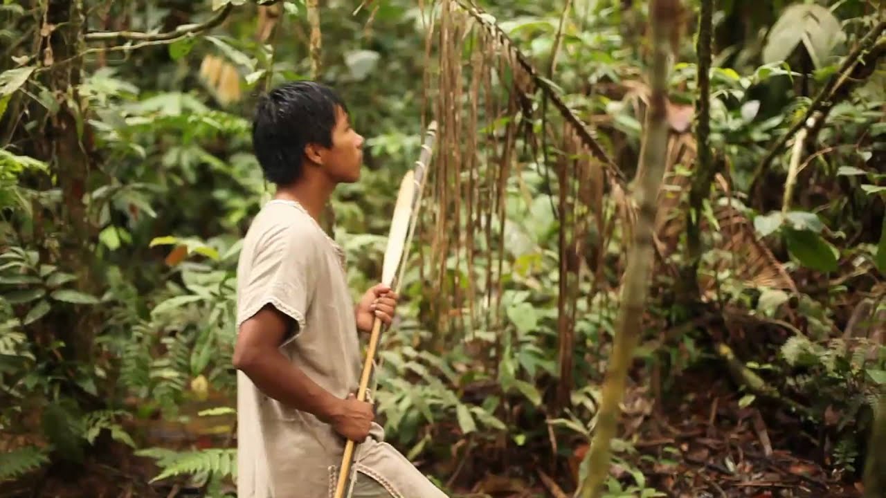 Proyecto Selva Rica: Un vistazo a la vida de los pueblos indigenas ...