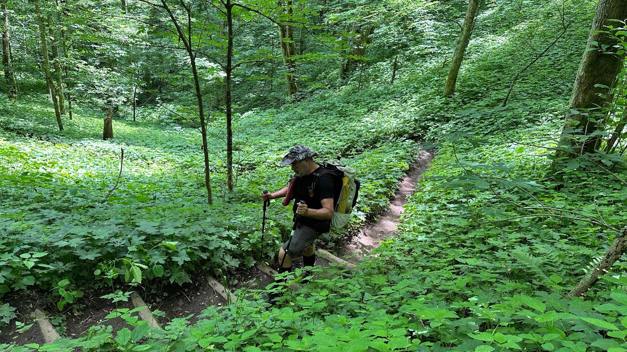 Day 30 Flint Mountain Shelter to Sam’s Gap