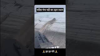जय माँ नमामी गंगे#ganga#shivshakti #gaumukh # glacier