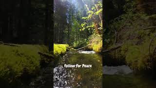 calm water #shortvideo #travel #explortheworld #nature #worldexplorer