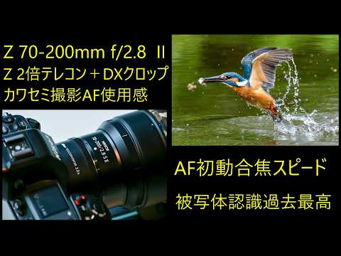 Nikon NIKKOR Z 70-200mm f/2.8 VR S II AF初動スピードアップ 検証