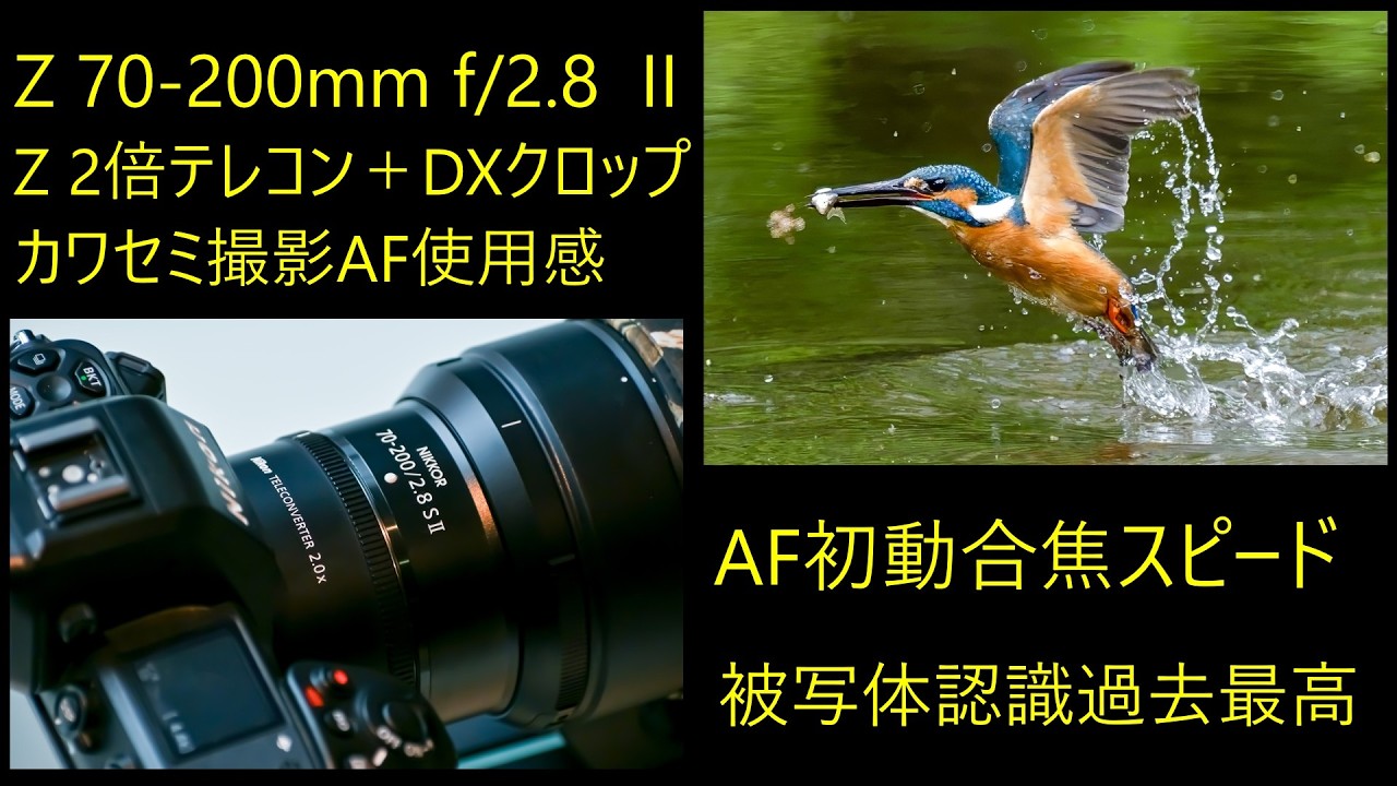 Nikon NIKKOR Z 70-200mm f/2.8 VR S II AF初動スピードアップ 検証