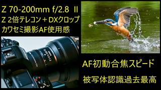 Nikon NIKKOR Z 70-200mm f/2.8 VR S II AF初動スピードアップ 検証