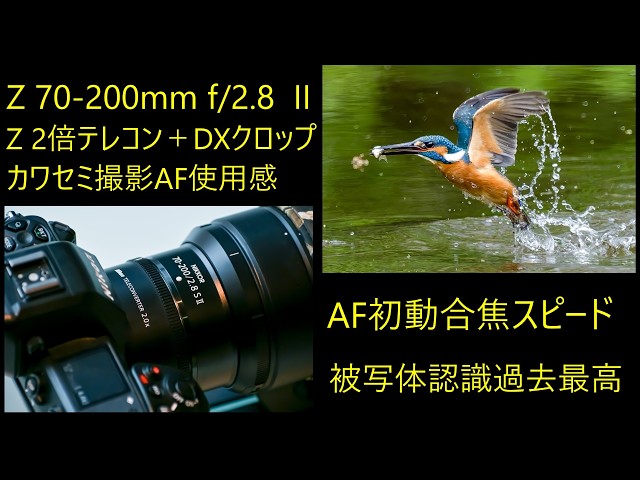 Nikon NIKKOR Z 70-200mm f/2.8 VR S II AF初動スピードアップ 検証