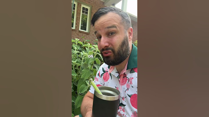☀️ C’est quoi ta boisson coup de cœur cet été?