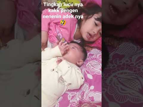 lucu nya si kakak pengen nenenin adek nya yg lagi nangis 🤣🤣