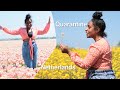 Nederlander in quarantaine door coronavirus - YouTube