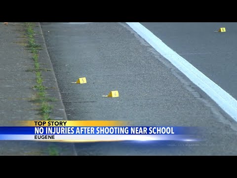 Three arrested following shots fired near Willagillespie Elementary School