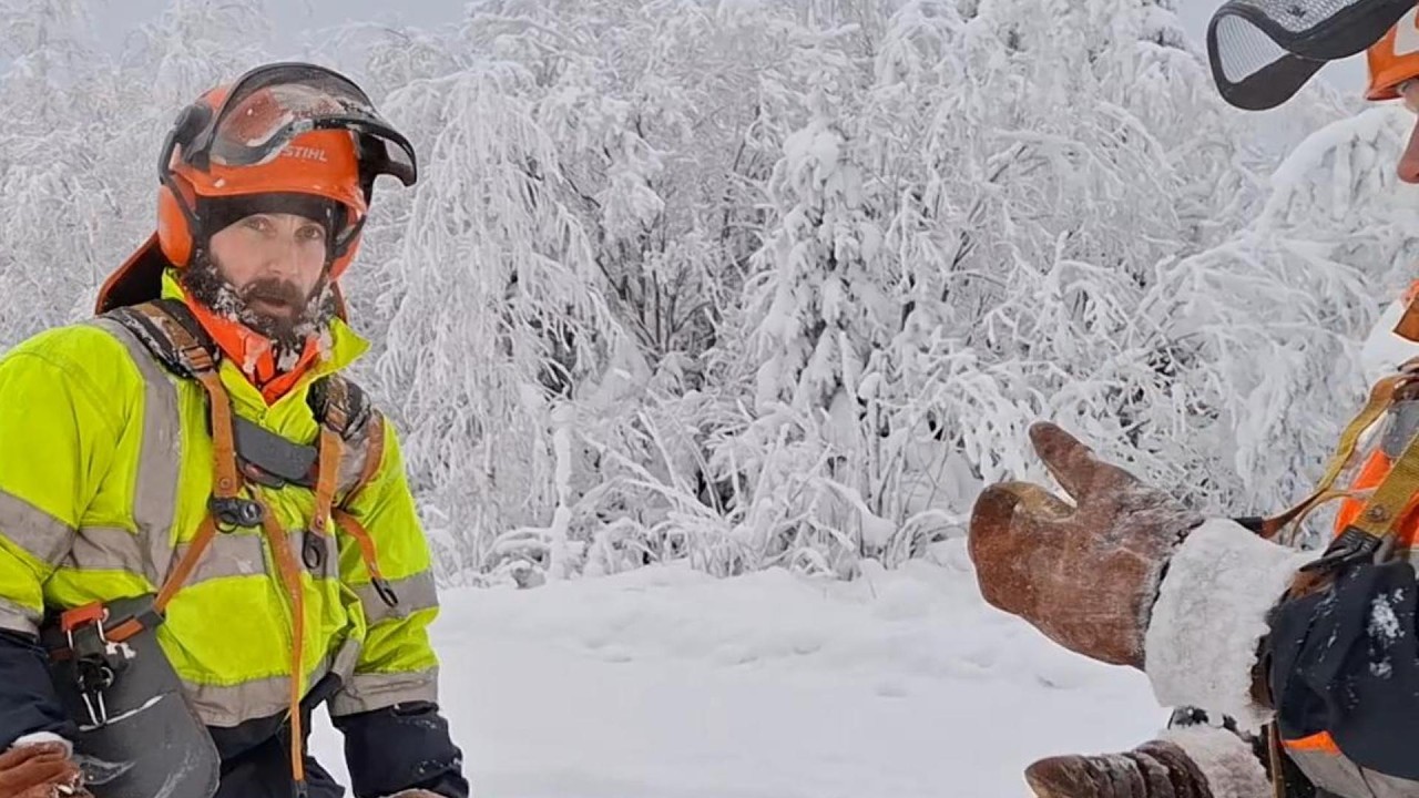Minkälaista on metsurin työ talvella - Fiilikset tammikuulta