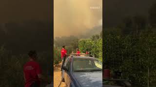Φωτιά στο Πλωμάρι Λέσβου - Μήνυμα 112 στους κατοίκους | NEWS 24/7