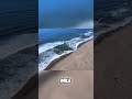 Reading the beach and finding cuts with the drone