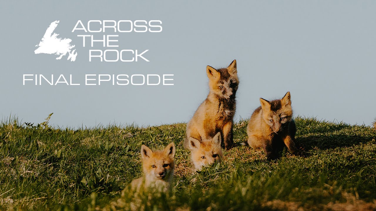 Across The Rocks We Were Miles From Anywhere When It Happened.. | Across The Rock Final ...