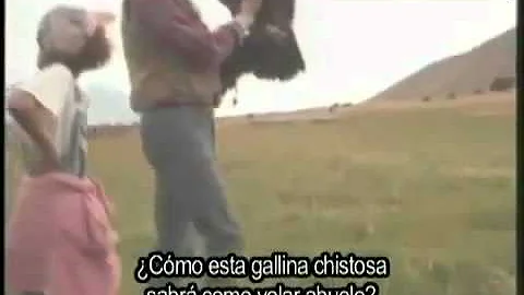 El aguila que se creía gallina