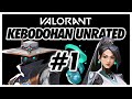 MAIN-MAIN UNRATED - KEBODOHAN VALORANT #1