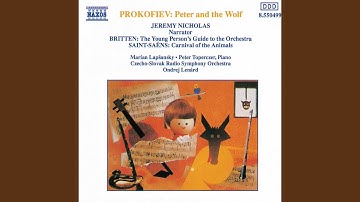 Peter and the Wolf, Op. 67: XII. The Cat and the Bird in the Trees