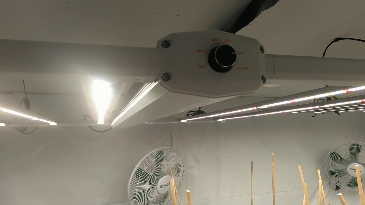 luxx 645w pro replaced  2 spider farmer 4000  What