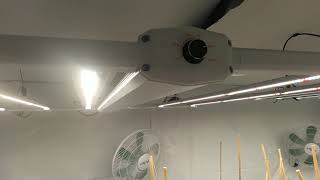 luxx 645w pro replaced 2 spider farmer 4000 What