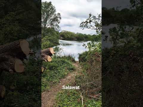 salawat #nature #egzonibrahimi #beautiful #video #love #love #peace #view #quotes #quotes