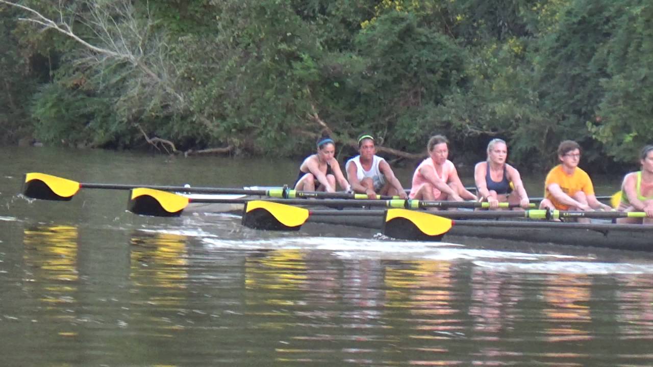 Lwt8 Monday races portside