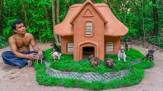 Building A Mud House Dog