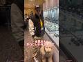 ストリートスナップを撮る独身男性！#Shorts#星野大介#ストリートスナップ