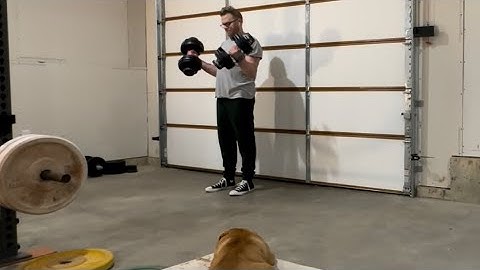 Day 237: Can a lazy 48 year old get back in shape? #maintenance