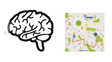 Environmental Enrichment Study: Pre-Phone Call Video (Spatial Navigation)