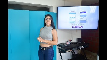 ¿Qué es un widget o un plugin?